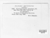 Image Associated With the Occurence